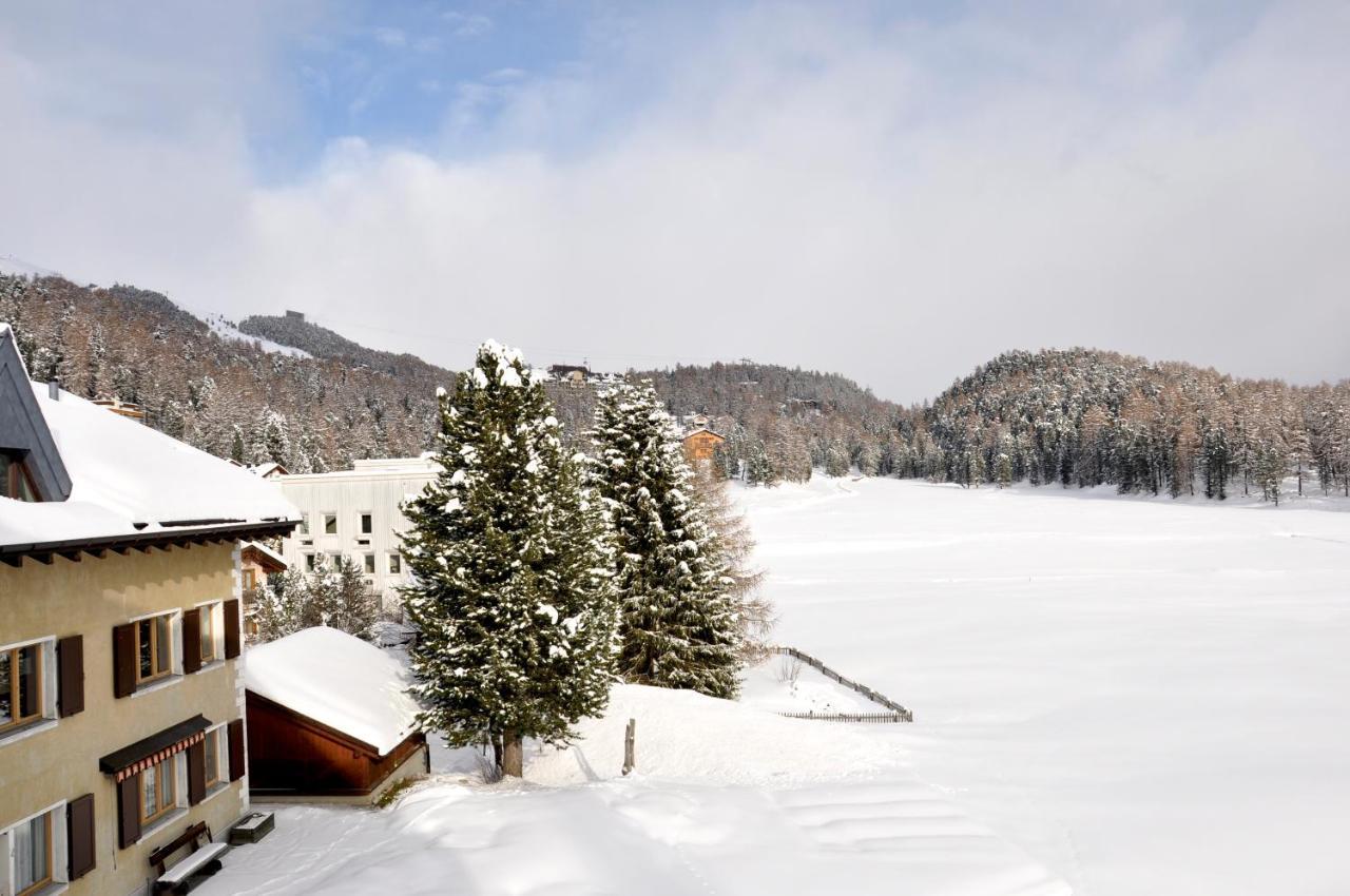 Cosy Apartment Facing Piz Rosatsch Σεντ Μόριτζ Εξωτερικό φωτογραφία